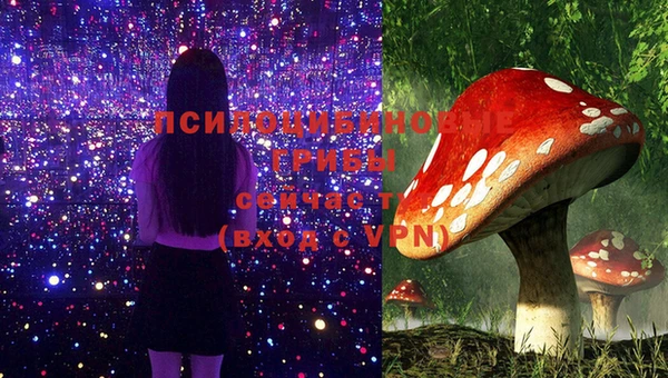 синтетический гашиш Арсеньев