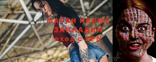 ECSTASY Покачи